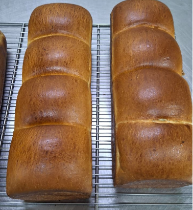 Brioche opened 600gr After Baking / 4Portions  Yellow Color H:8cm
