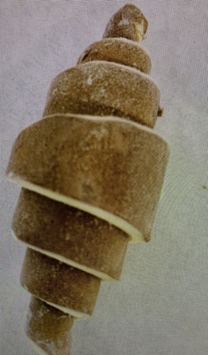 Croissant cacao raw 70gr